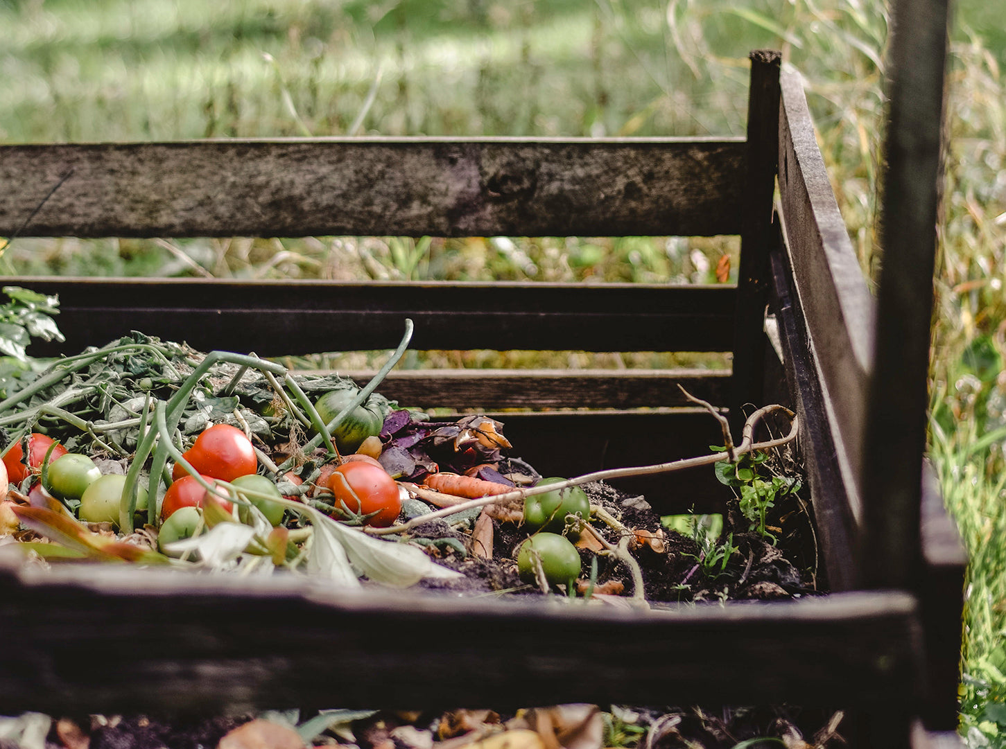 Composting At Home: Tips, Tricks and Benefits!