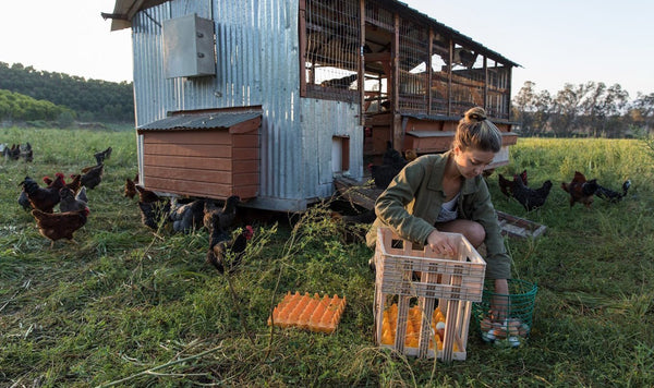 Apricot Lane Farms: The Biggest, Little Farm - Biodynamic Coffee