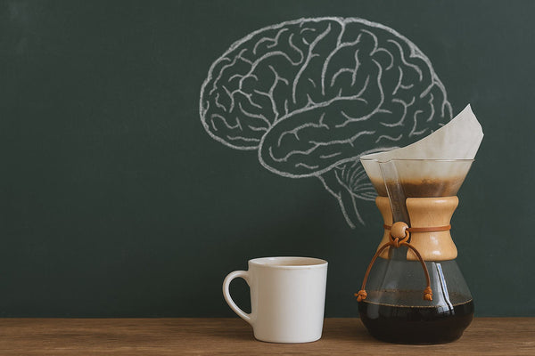 Coffee's Short and Long Term Cognitive Benefits - Biodynamic Coffee
