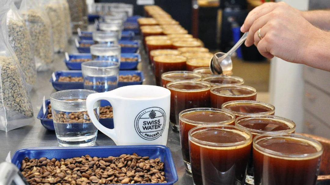 Decaf, Done Right: What the Swiss Water® Process Means for Your Cup - Biodynamic Coffee