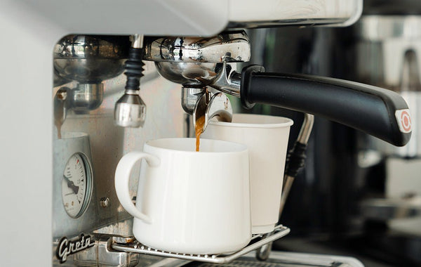 Does Your Coffee Have Mold? - Biodynamic Coffee