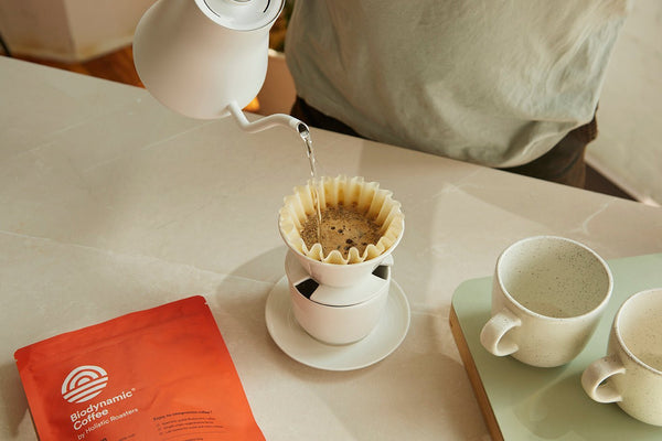 Mastering the Perfect Pour Over Coffee: 5 Easy Steps - Biodynamic Coffee