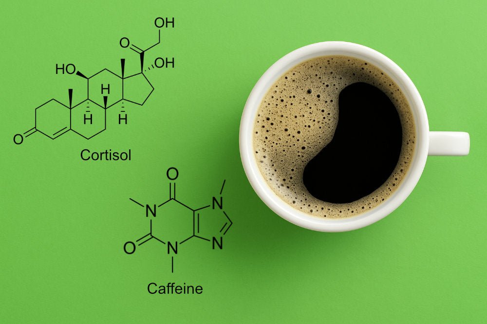 Timing Your Clean Coffee for Optimal Hormonal Health - Biodynamic Coffee