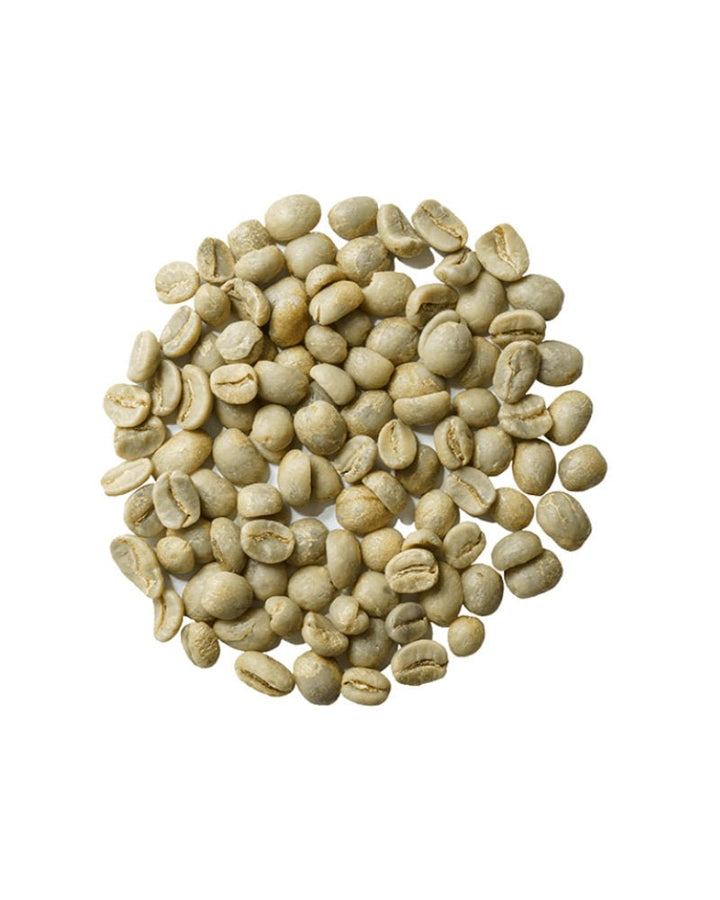 Biodynamic® Green Coffee - 907g - Biodynamic Coffee