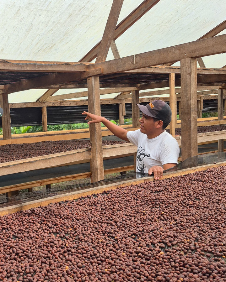 Biodynamic® Green Coffee - 907g - Biodynamic Coffee