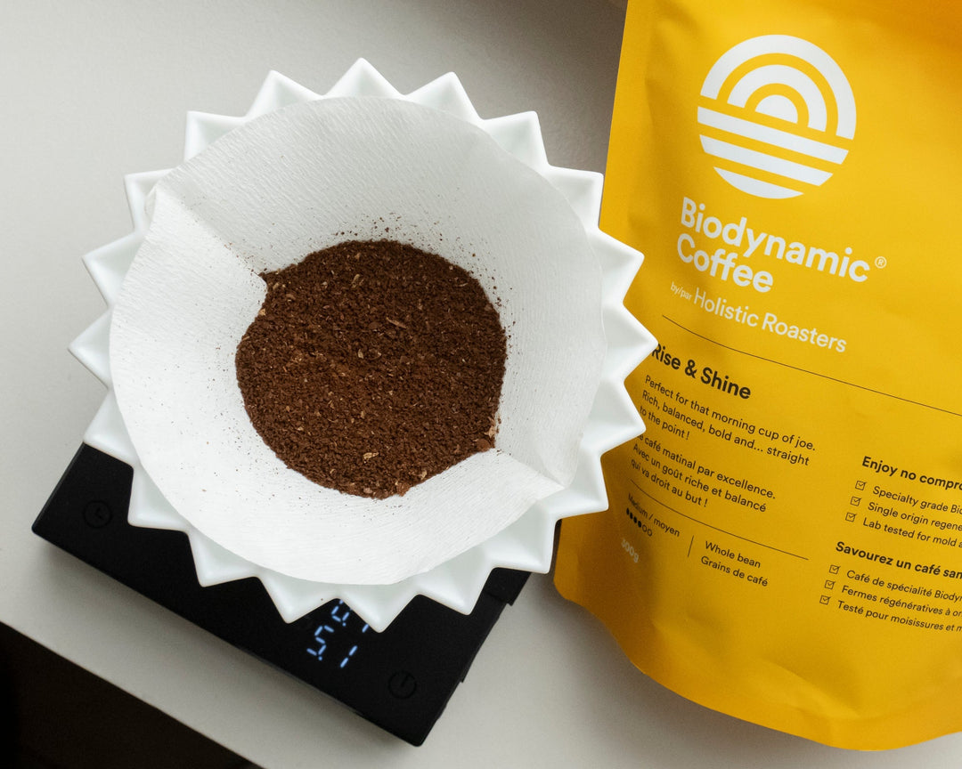 Hario V60-02 Paper Filters - Biodynamic Coffee