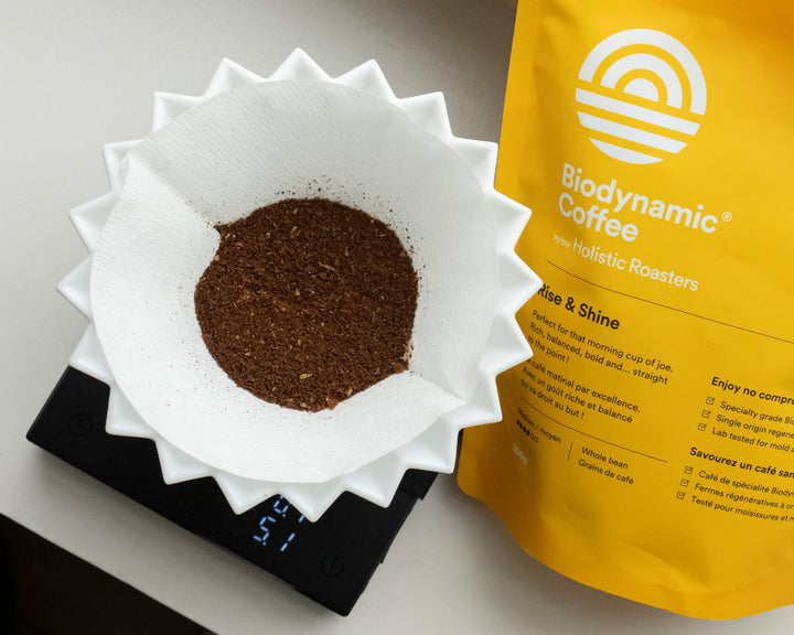 Hario V60-02 Paper Filters - Biodynamic Coffee